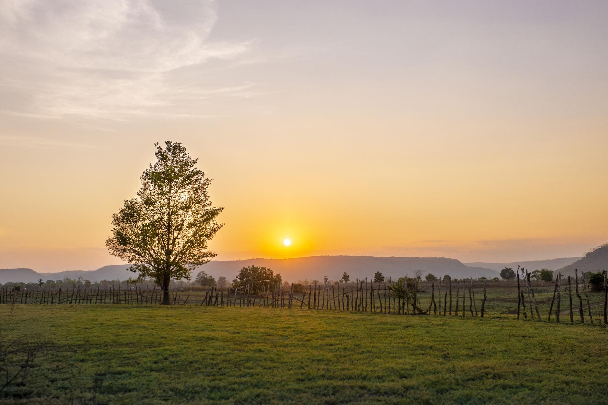 Canh dep Gia Lai anh 23