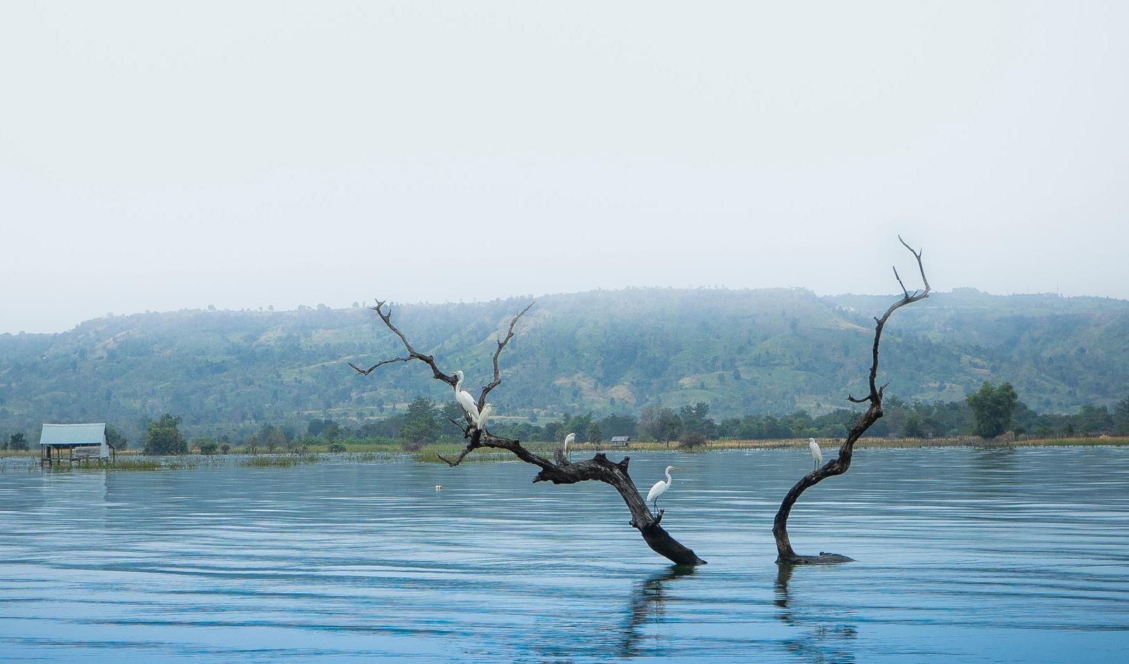 Canh dep Gia Lai anh 15