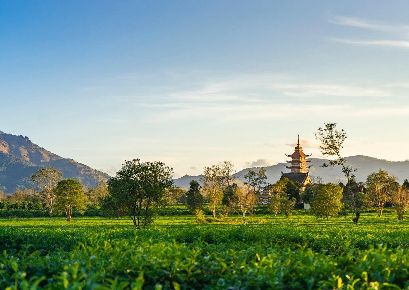 Canh dep Gia Lai anh 27