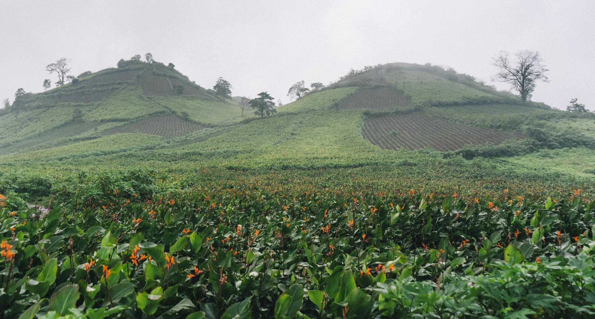 Canh dep Gia Lai anh 28