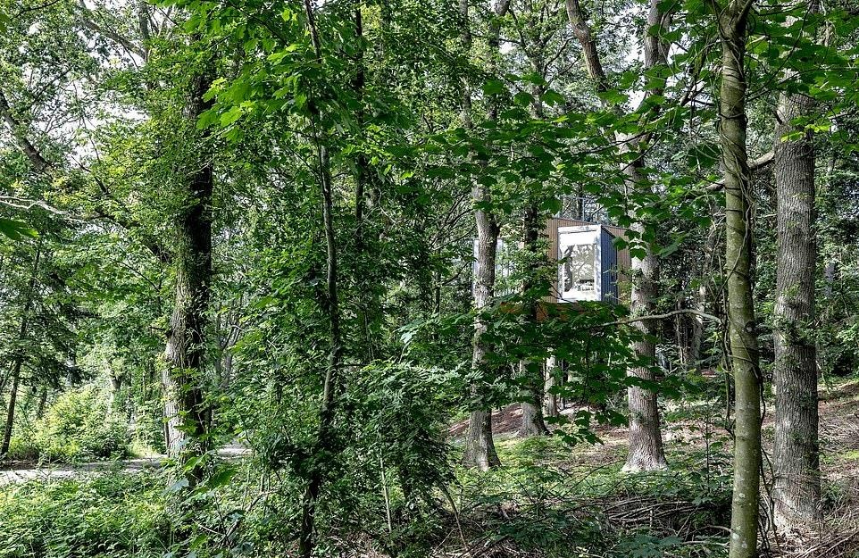 Nhà nghỉ trên cây ở Đan Mạch ảnh 10 Nha nghi tren cay o Dan Mach anh 10