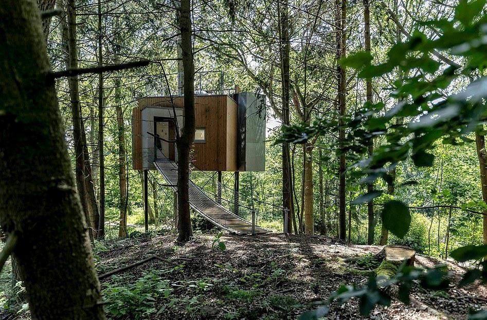 Nhà nghỉ trên cây ở Đan Mạch ảnh 1 Nha nghi tren cay o Dan Mach anh 1