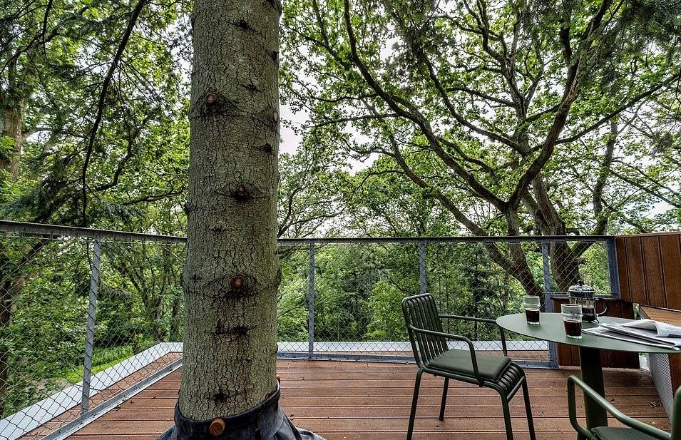 Nhà nghỉ trên cây ở Đan Mạch ảnh 7 Nha nghi tren cay o Dan Mach anh 7