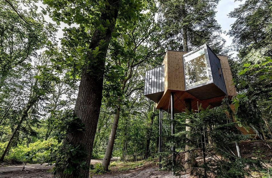 Nhà nghỉ trên cây ở Đan Mạch ảnh 8 Nha nghi tren cay o Dan Mach anh 8