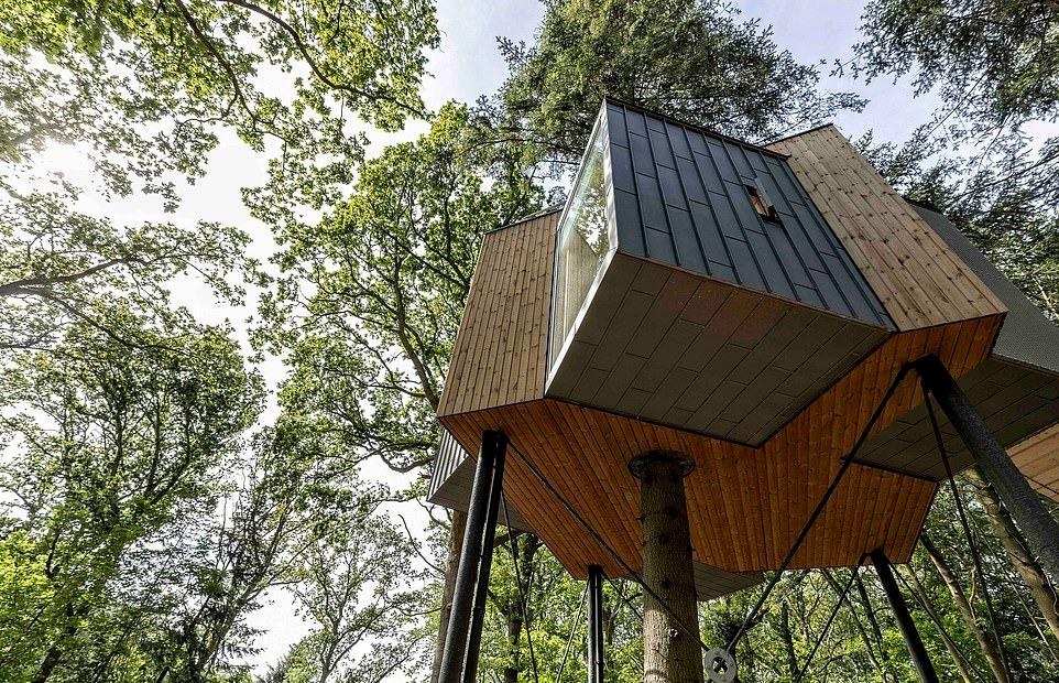 Nhà nghỉ trên cây ở Đan Mạch ảnh 9 Nha nghi tren cay o Dan Mach anh 9