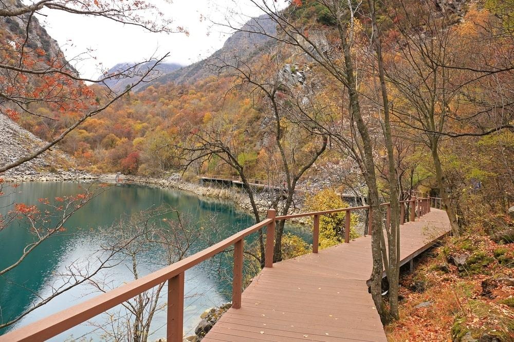 Thung lung Tung Binh Cau anh 7