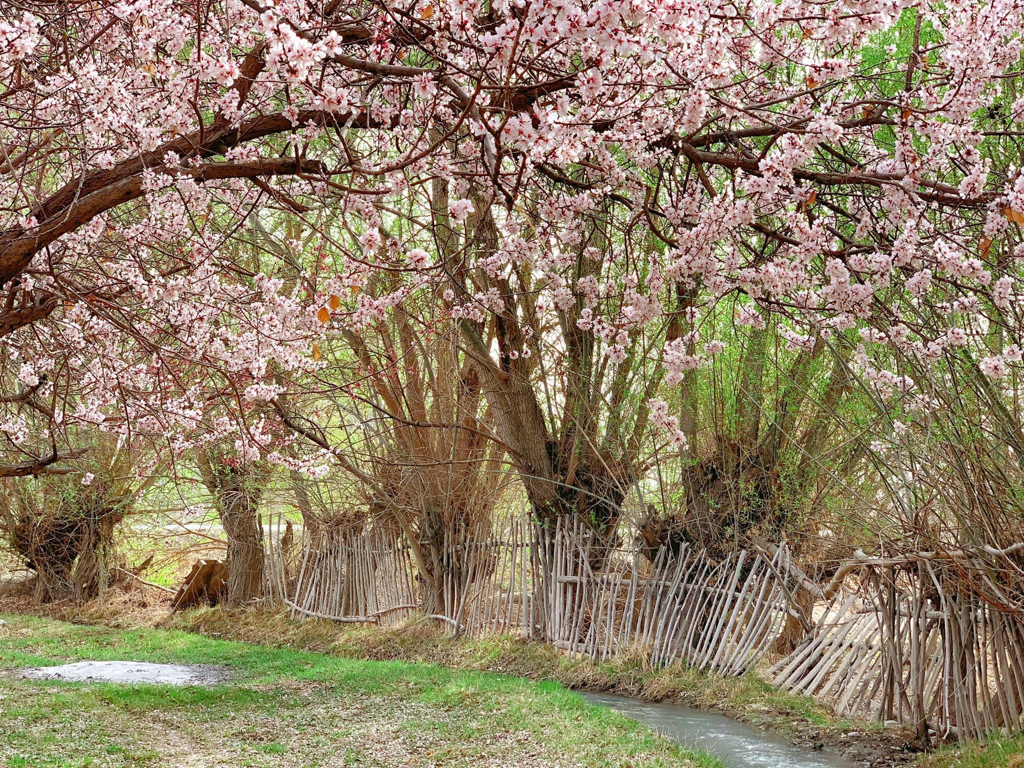 Du lich Tan Cuong anh 6
