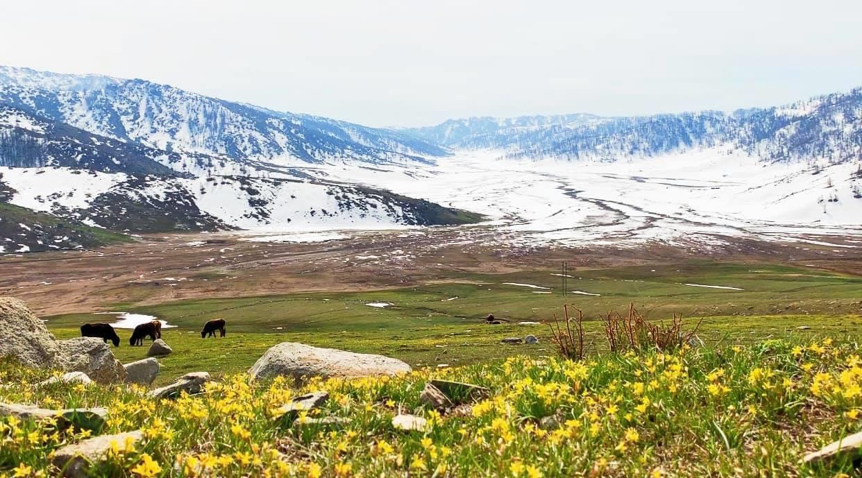 Du lich Tan Cuong anh 8