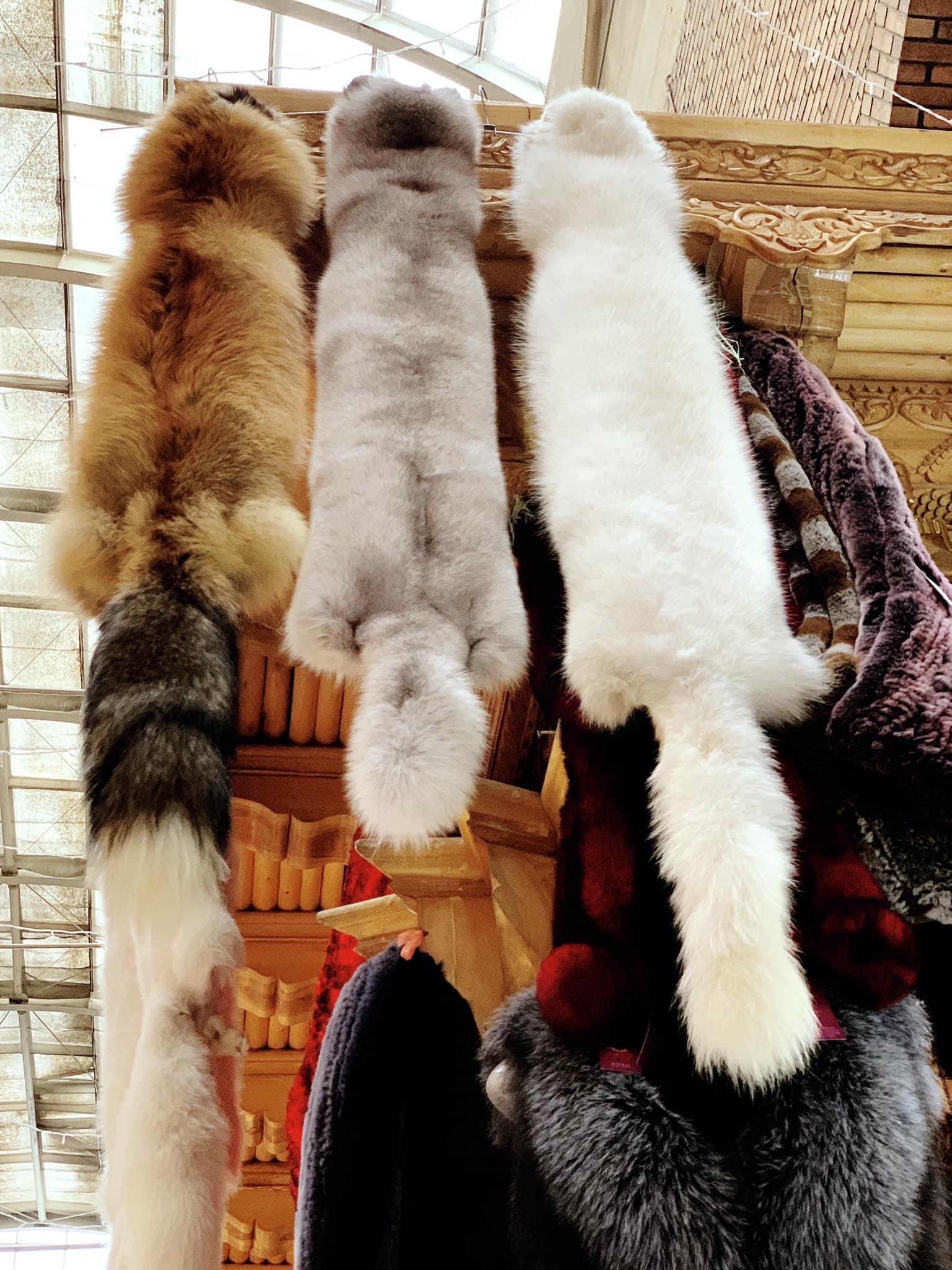 Du lich Tan Cuong anh 11