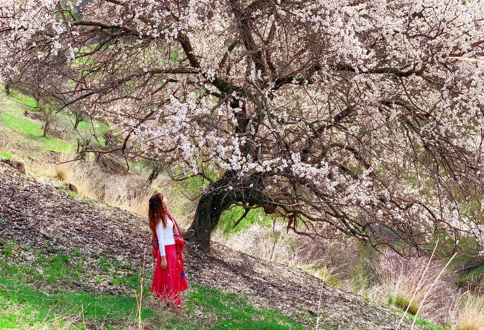 Du lich Tan Cuong anh 9