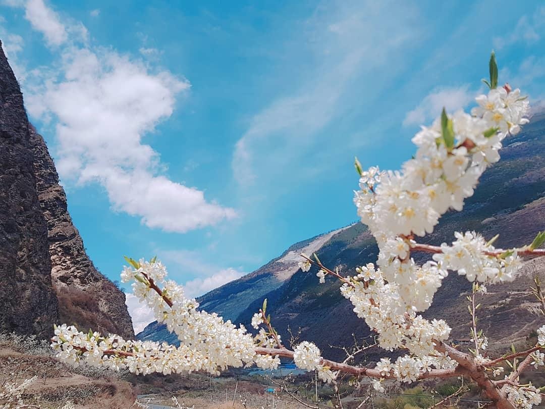 Thung lung Tung Binh Cau anh 6