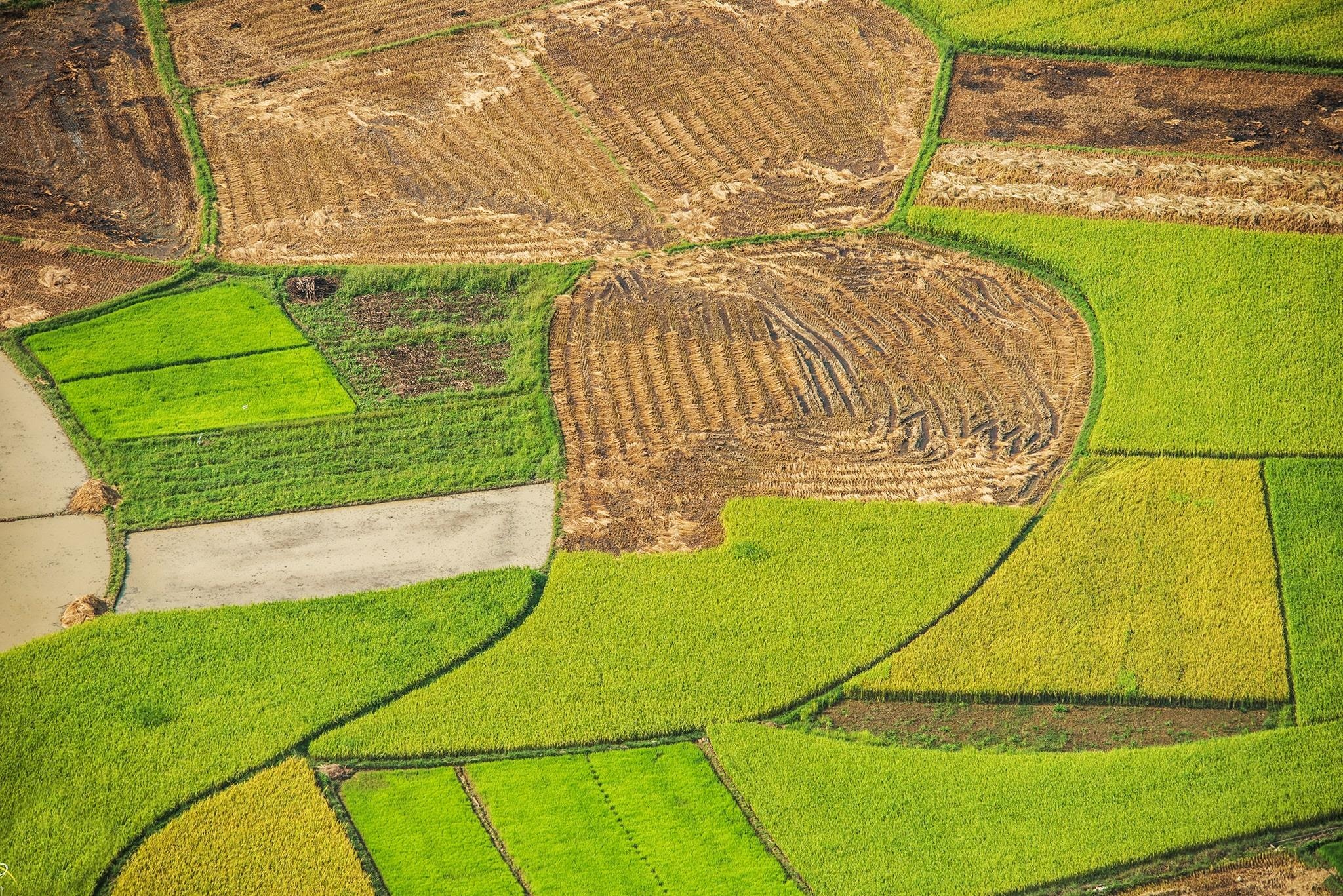 Thung lung vang Bac Son anh 17