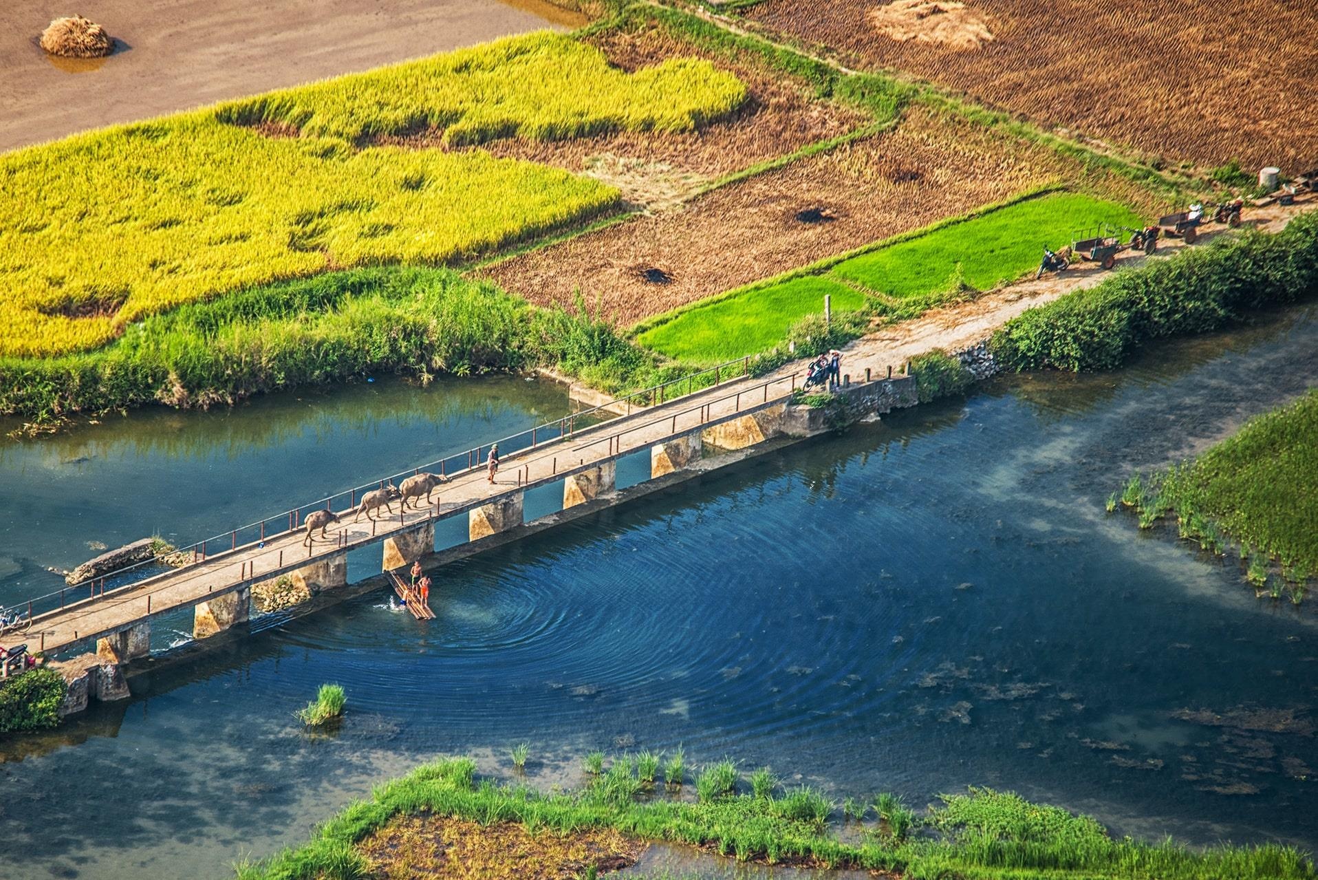 Thung lung vang Bac Son anh 24