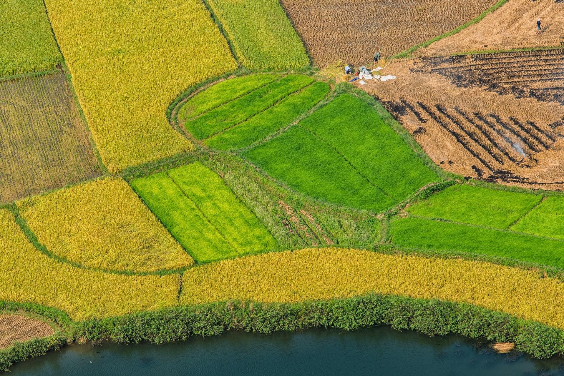 Thung lung vang Bac Son anh 18