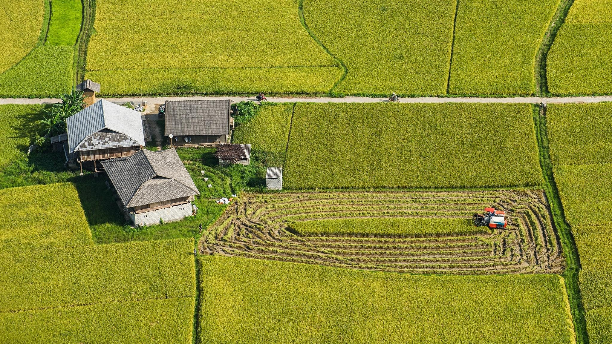 Thung lung vang Bac Son anh 19