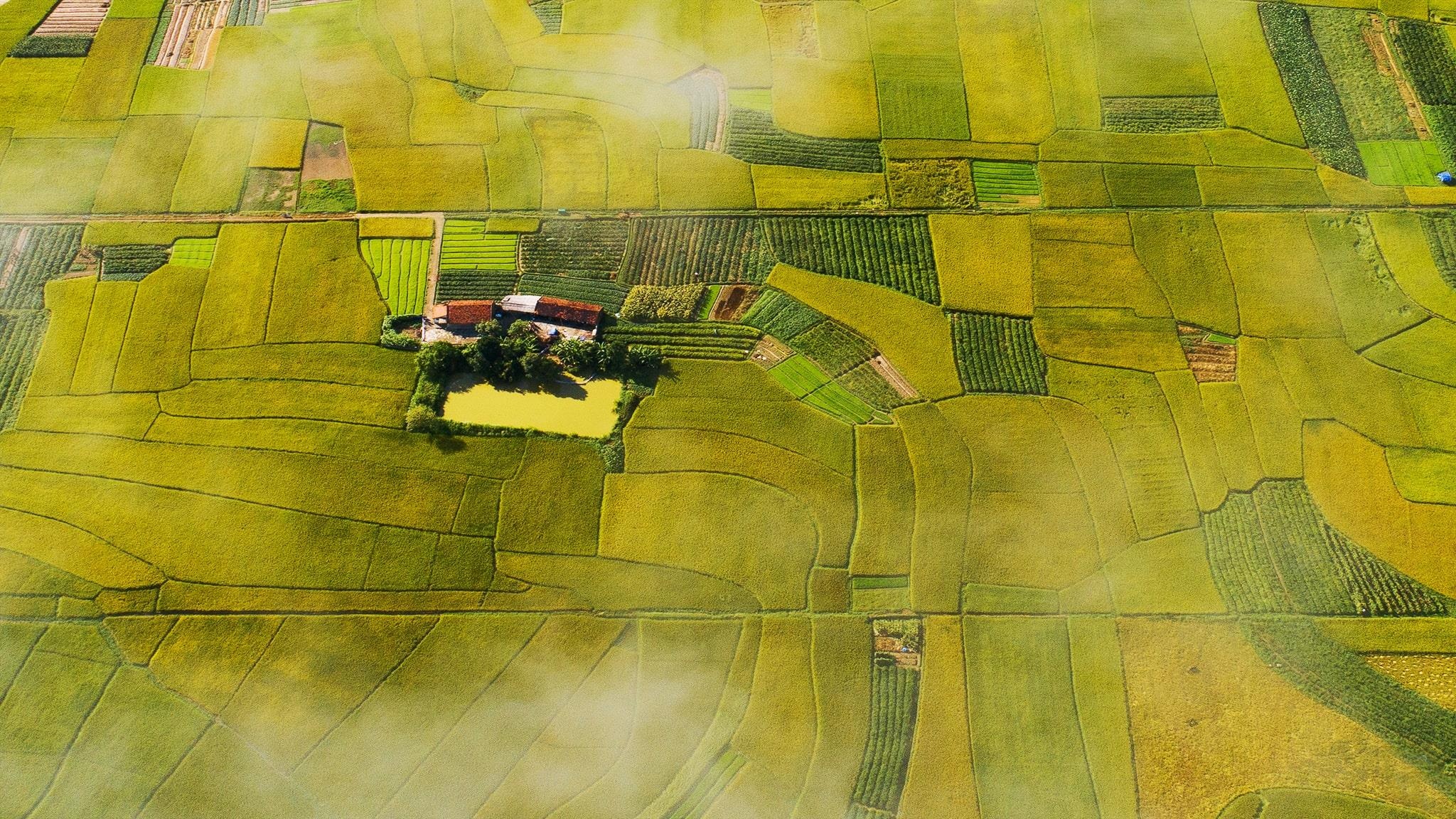 Thung lung vang Bac Son anh 20