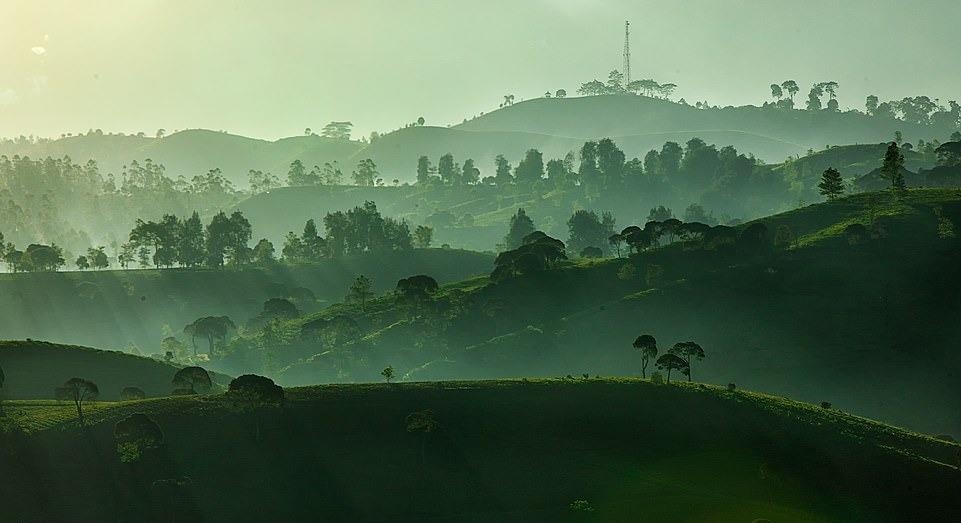 Ve dep thien nhien anh 7