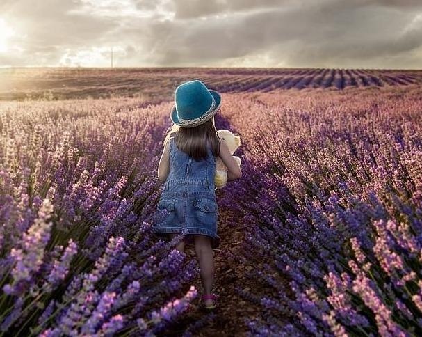 Ve dep thien nhien anh 14