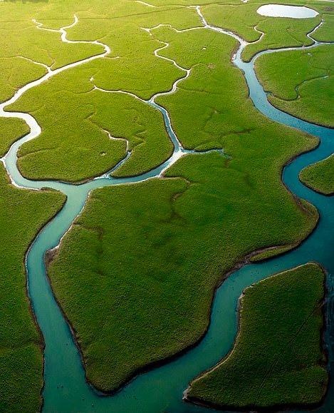 Ve dep thien nhien anh 4