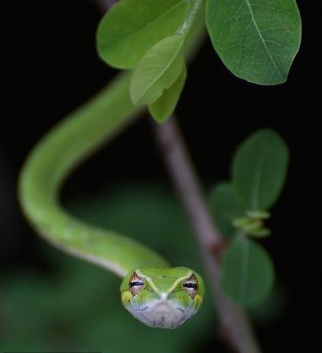 Ve dep thien nhien anh 37