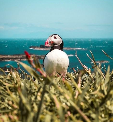 Ve dep thien nhien anh 38