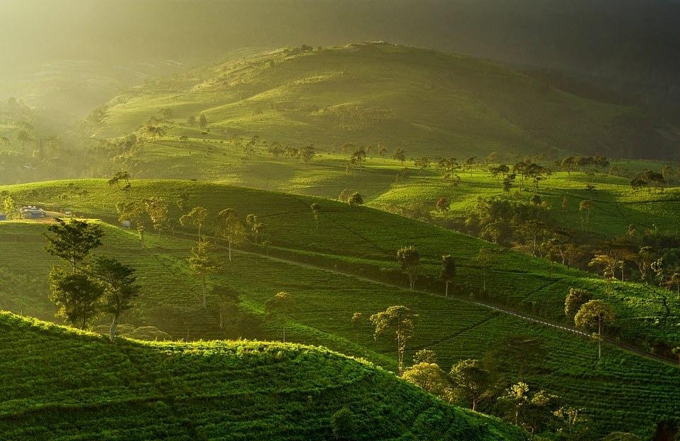 Ve dep thien nhien anh 22