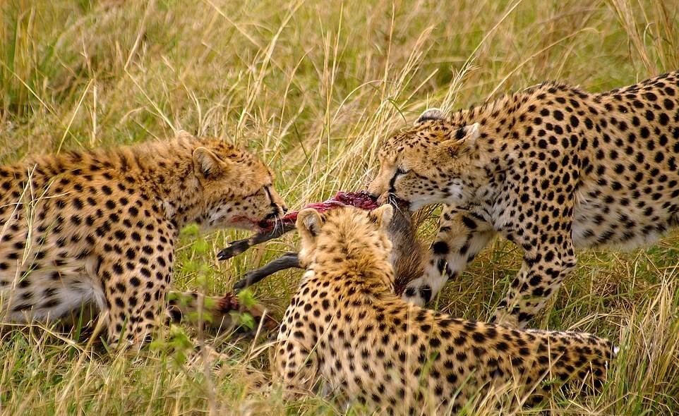 Ve dep thien nhien anh 40