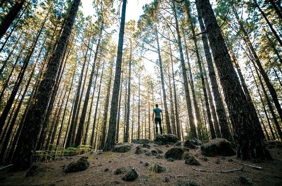 Ve dep thien nhien anh 27