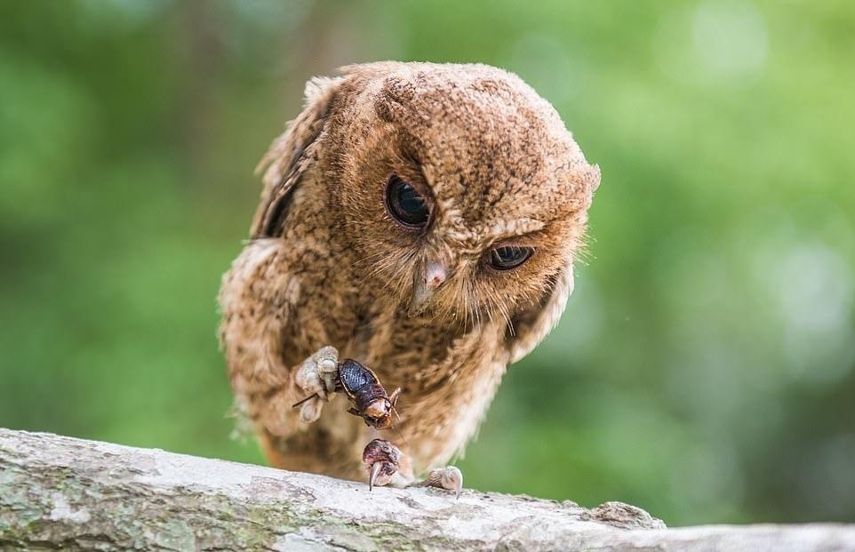 Ve dep thien nhien anh 45