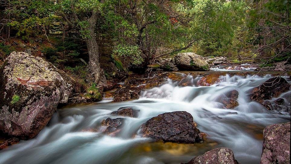 Ve dep thien nhien anh 30