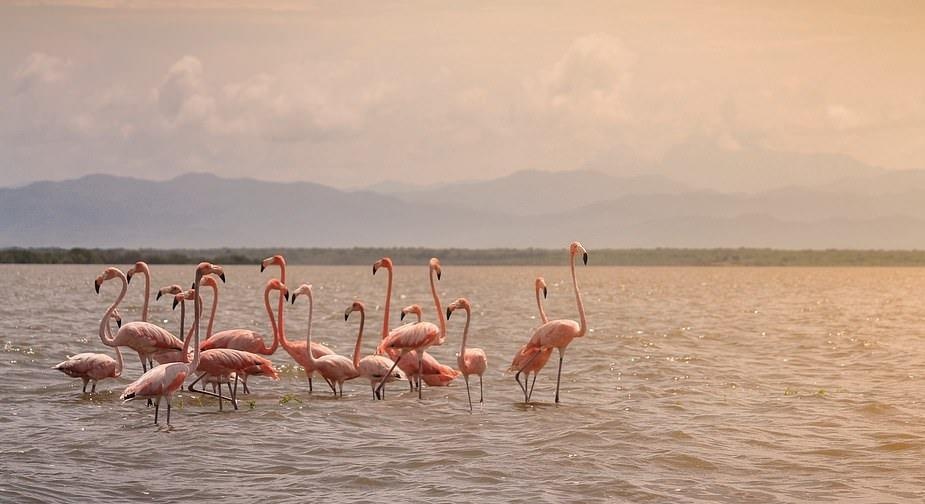 Ve dep thien nhien anh 39