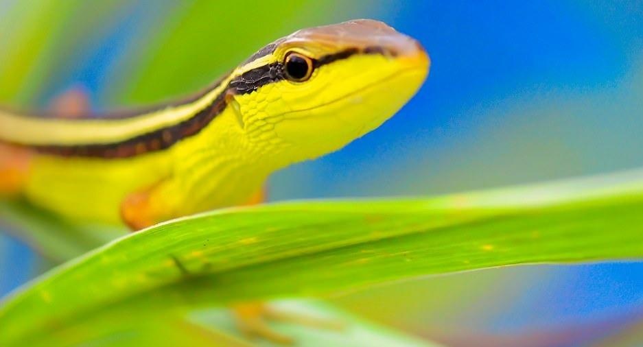 Ve dep thien nhien anh 47