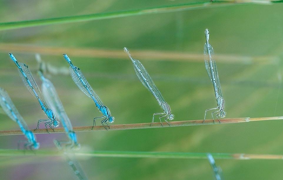 Ve dep thien nhien anh 48