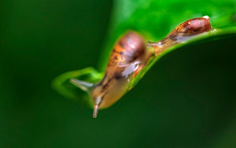 Ve dep thien nhien anh 49