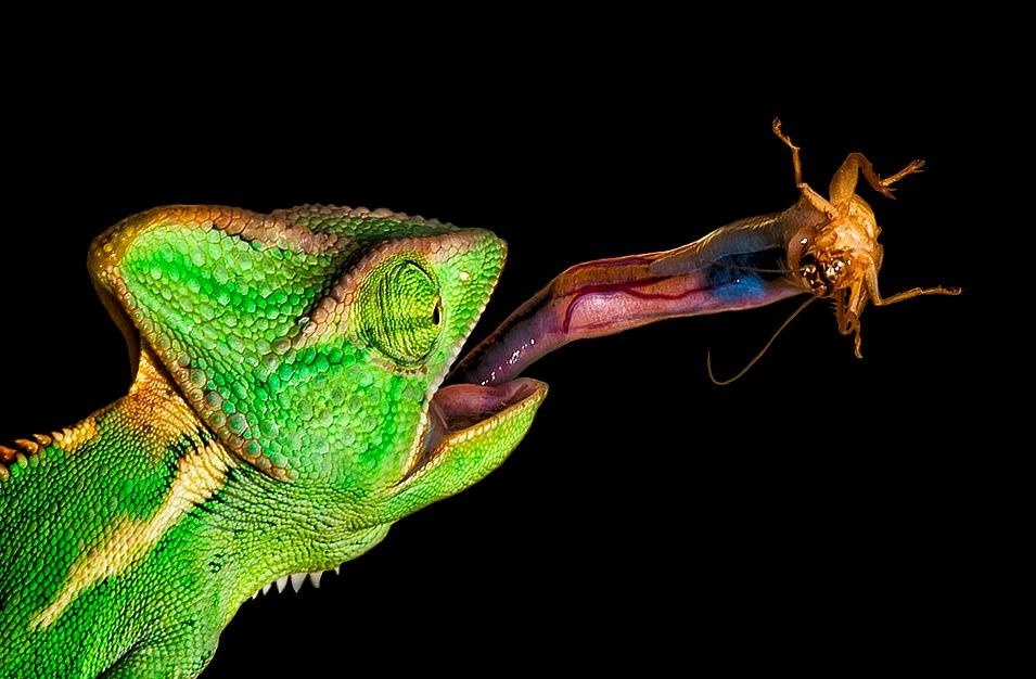 Ve dep thien nhien anh 33