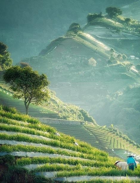 Ve dep thien nhien anh 11