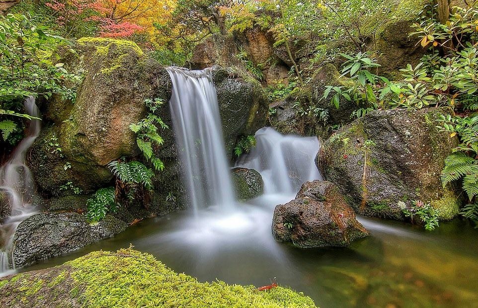 Ve dep thien nhien anh 2