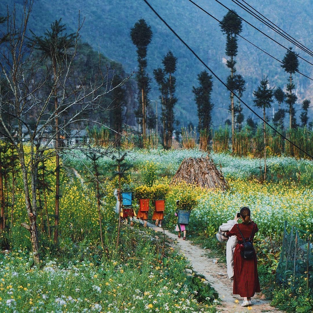 Du lich Ha Giang-Lao Cai anh 4