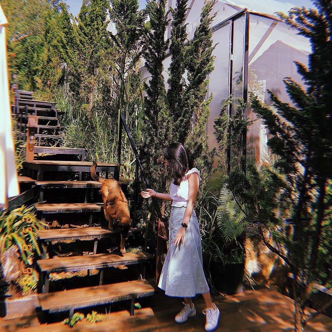 Homestay dep gia re o Da Lat anh 7