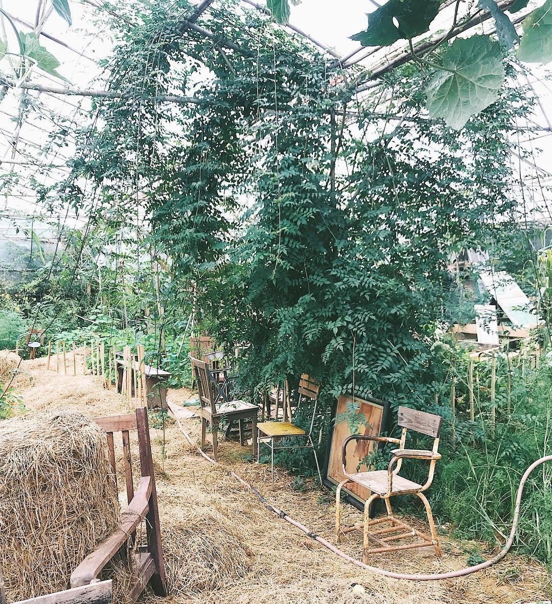 Homestay dep gia re o Da Lat anh 23