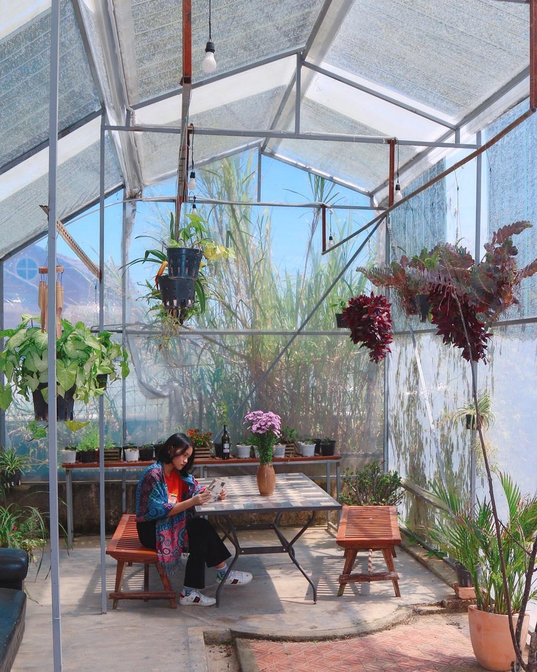 Homestay dep gia re o Da Lat anh 34