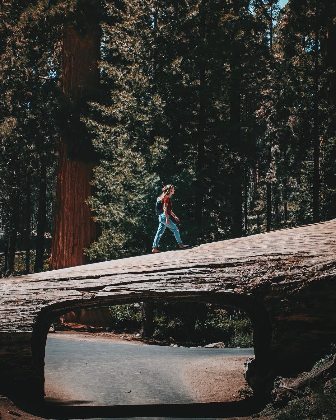 Dia diem du lich o My anh 3