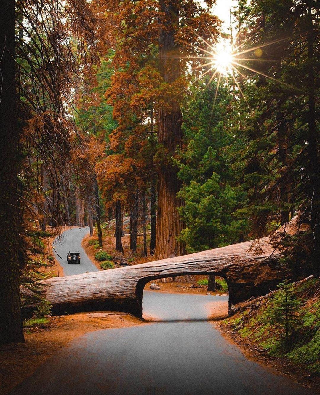 Dia diem du lich o My anh 4