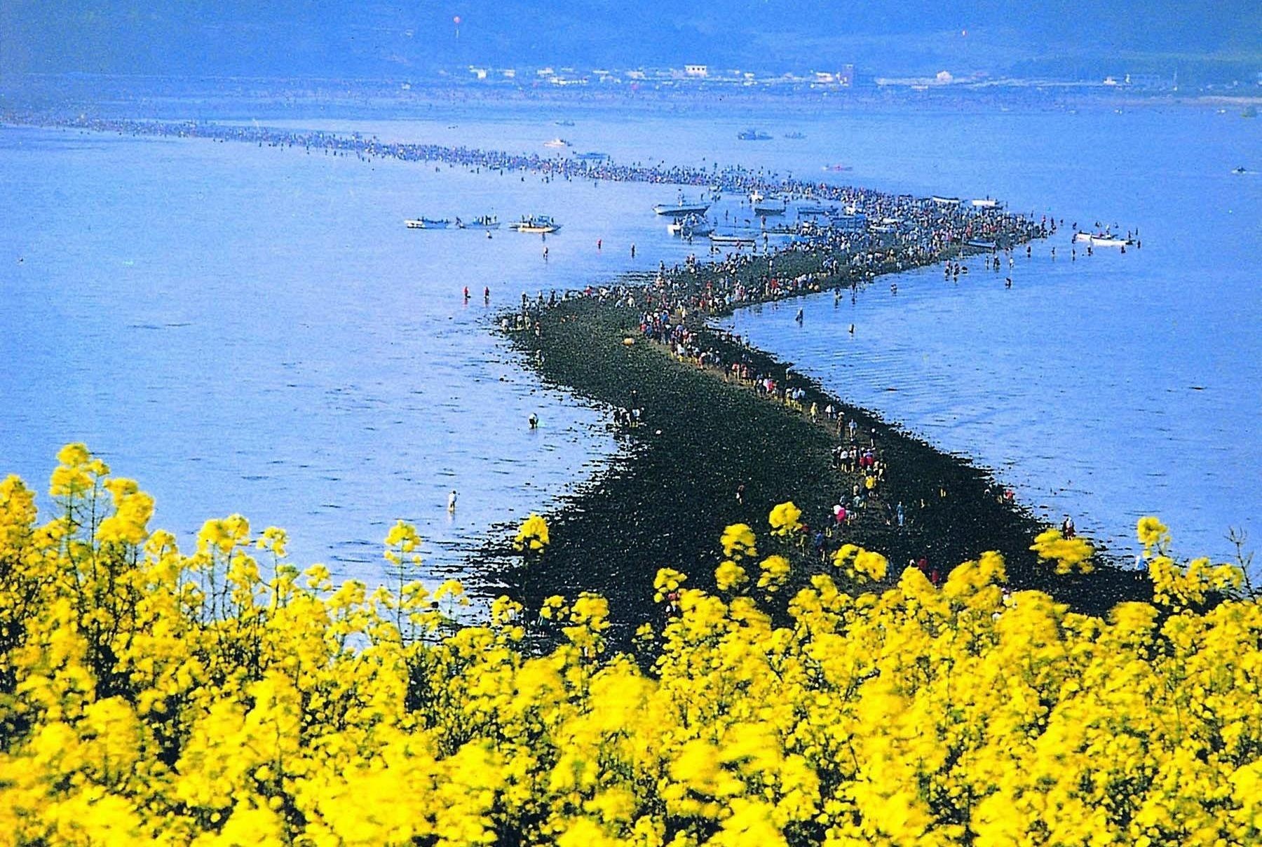 Con duong mot nam xuat hien 2 lan o Han Quoc hinh anh