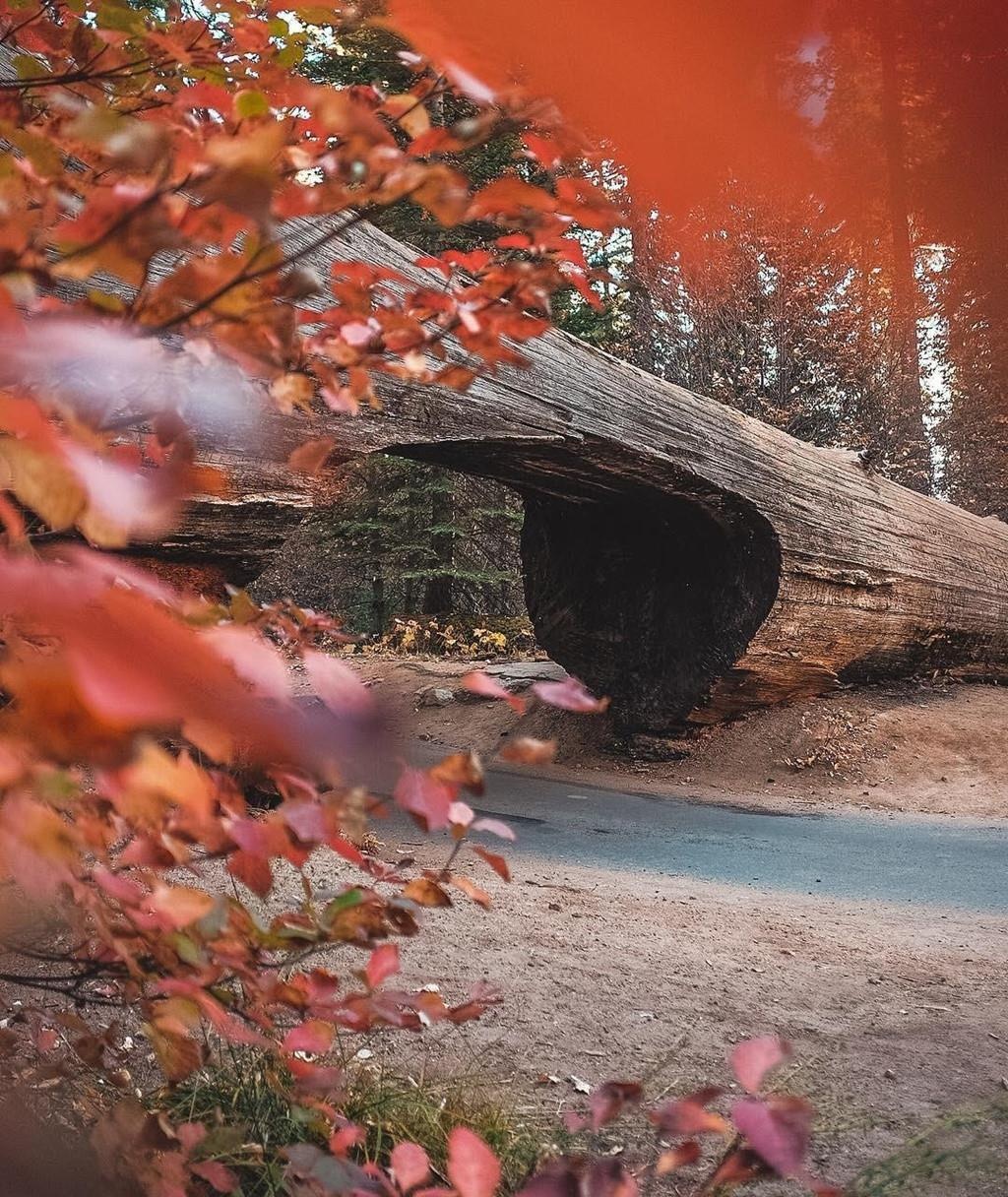 Dia diem du lich o My anh 13