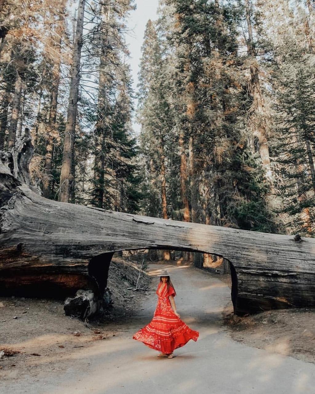 Dia diem du lich o My anh 11