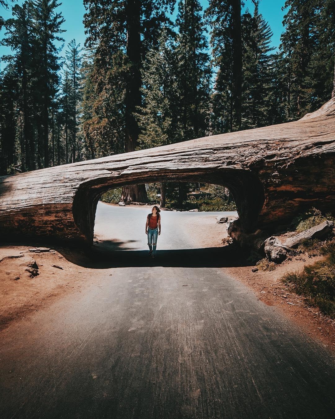 Dia diem du lich o My anh 5