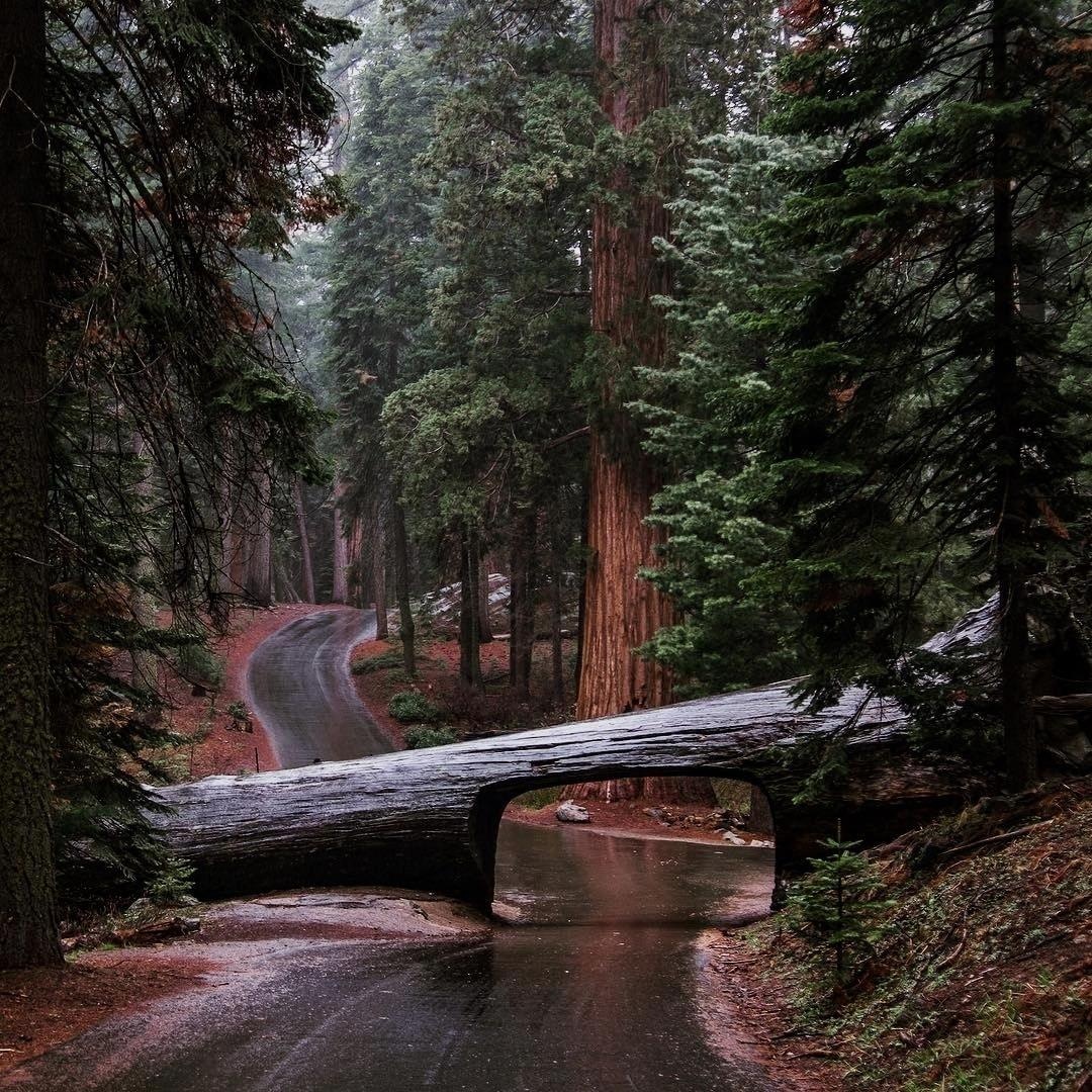 Dia diem du lich o My anh 1