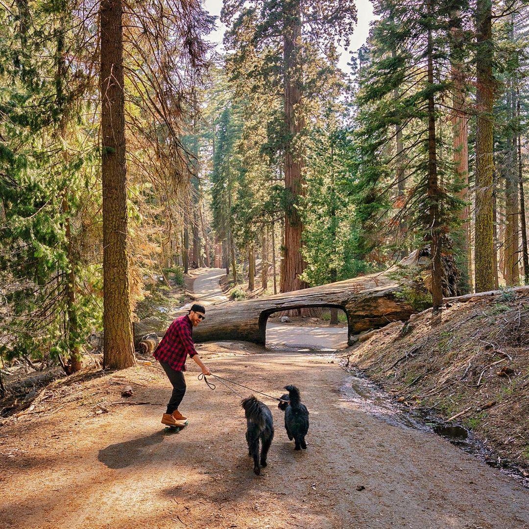 Dia diem du lich o My anh 6