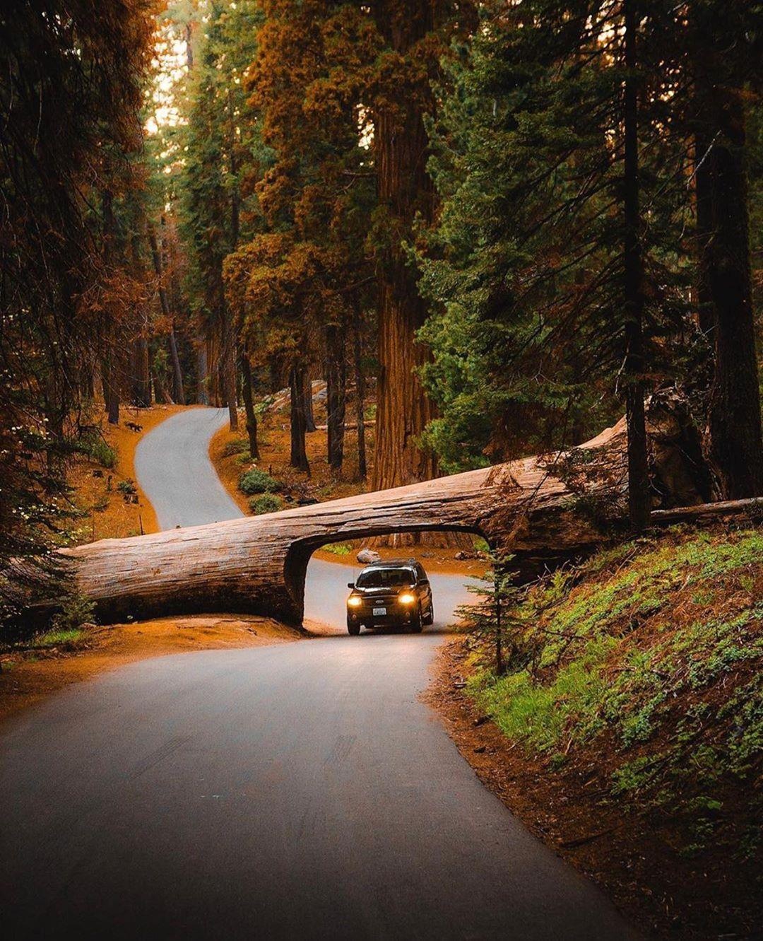 Dia diem du lich o My anh 8